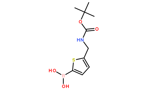 5-(BOC-氨基甲基)噻吩-2-硼酸