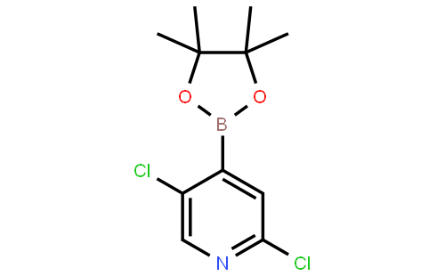 2,5-二氯吡啶-4-硼酸频哪酯,95%
