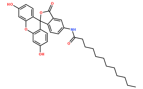 DAF  [5-Dodecanoylaminofluorescein]