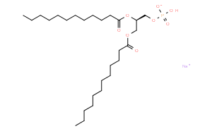 1,2-Dilauroyl-sn-glycero-3-phosphate (sodium salt)