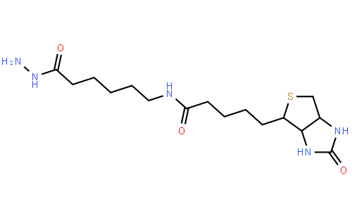 LC-(+)-Biotin hydrazide