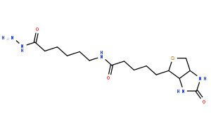 (+)-生物素酰胺基己酸肼