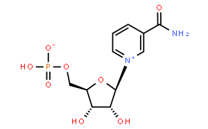 烟酰胺腺嘌呤二核苷酸（NAD+）生物合成中的中间体