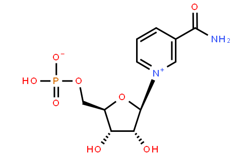 β-Nicotinamide Mononucleotide