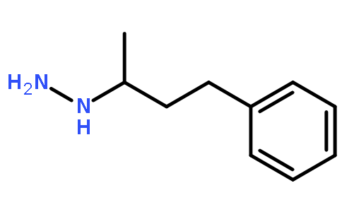 1-(4-phenylbutan-2-yl)hydrazine