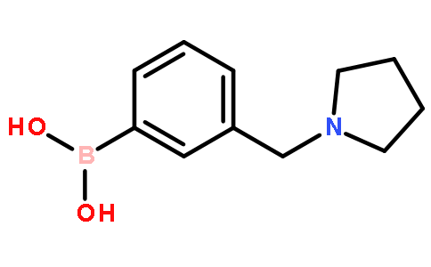 3-(Pyrrolidin-1-ylmethyl)phenylboronic acid