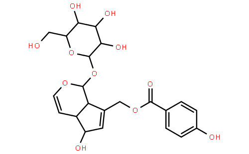 牡荆油