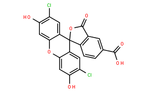 5(6)-羧基-2',7'-二氯荧光素