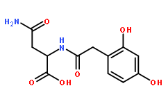 2,4-Dihydroxyphenylacetyl-L-asparagine(111872-98-1)