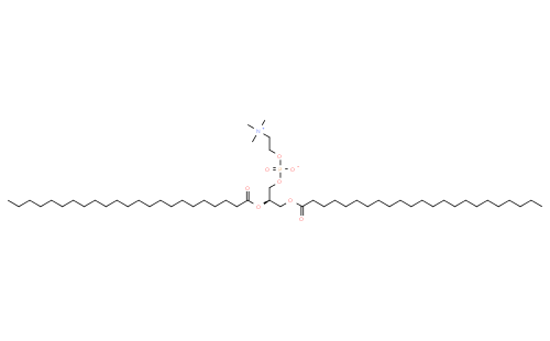 1,2-ditricosanoyl-sn-glycero-3-phosphocholine