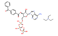 BzATP triethylammonium salt(112898-15-4)