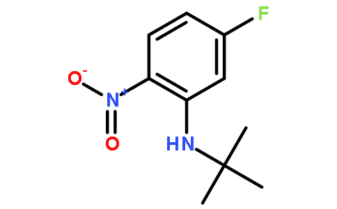 N-(tert-Butyl)-5-fluoro-2-nitroaniline