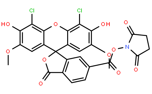 6-Joe, SE  [6-Carboxy-4',5'-Dichloro-2',7'-Dimethoxyfluorescein, Succinimidyl Ester]