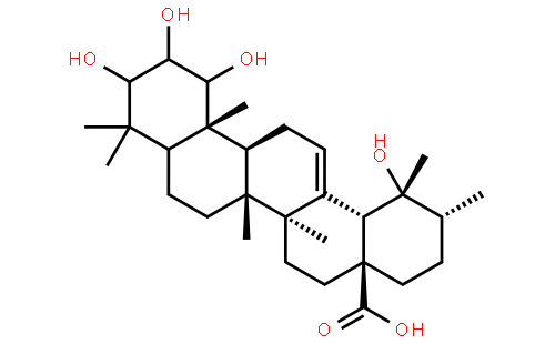 1,2,3,19-Tetrahydroxy-12-ursen-28-oic acid