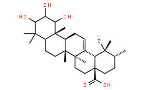 113558-03-5  1，2，3，19-四羟基-12-乌苏烯-28-酸