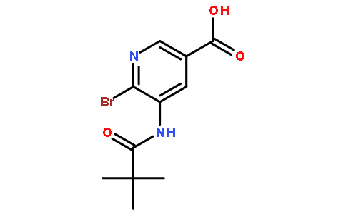6-BROMO-5-PIVALAMIDONICOTINIC ACID