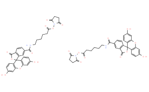 6-[熒光素-5(6)-甲酰氨基]-己酸-N-羥基琥珀酰亞胺