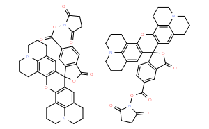 5(6)-羧基-X-罗丹明-N-羟基琥珀酰亚胺酯