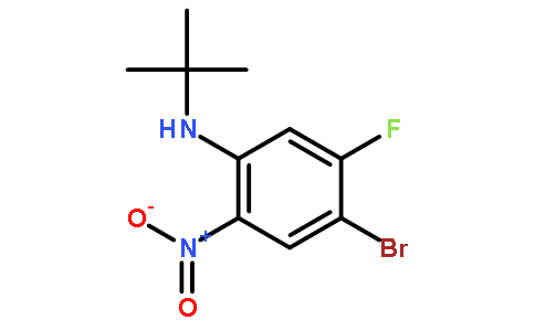 4-溴-N-(叔丁基)-5-氟-2-硝基-苯胺