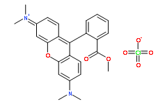 四甲基罗丹明甲酯高氯酸盐