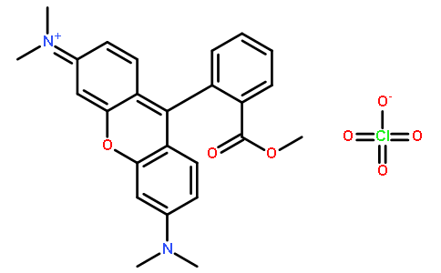 TMRM [Tetramethylrhodamine, methyl ester, perchlorate]