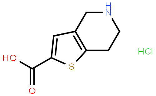 4,5,6,7-Tetrahydrothieno[3,2-c]pyridine-2-carboxylic acid hydrochloride