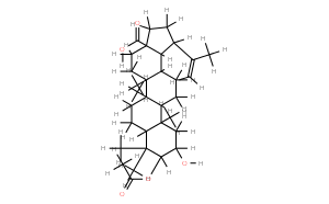 2alpha-羥基-3beta-乙酰白樺酸