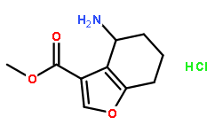 4-氨基-4,5,6,7-四氢苯并呋喃-3-羧酸甲酯盐酸盐