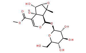 胡麻属苷sesamoside