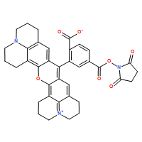 ROX NHS ester, pure 6- isomer
