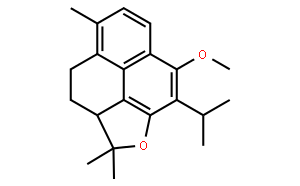 紅根草種素