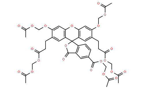 2',7'-二(2-羧基乙基)-5(6)-羧基荧光素乙酰氧甲基酯