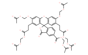 2',7'-二-(2-羧乙基)-5(6)-羧基荧光素乙酰甲酯