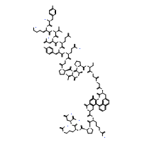 Neuromedin U (rat)