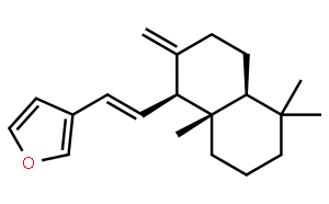 二羥丙茶堿E