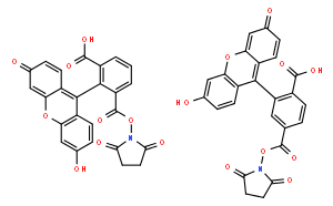 5(6)-Carboxyfluorescein N-succinimidyl ester