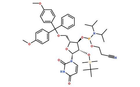 5'-O-(4,4-二甲氧基三苯甲基)-2'-O-[(叔丁基)二甲基硅基]尿苷-3'-(2-氰基乙基-N,N-二异丙基)亚磷酰胺