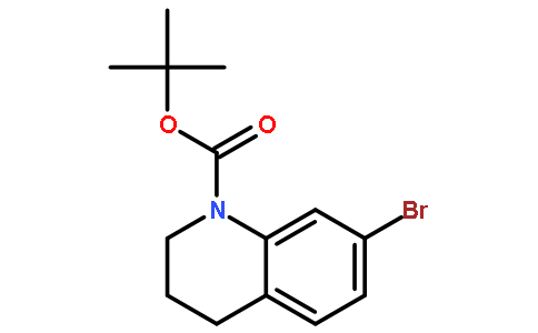 tert-Butyl 7-bromo-3,4-dihydroquinoline-1(2H)-carboxylate