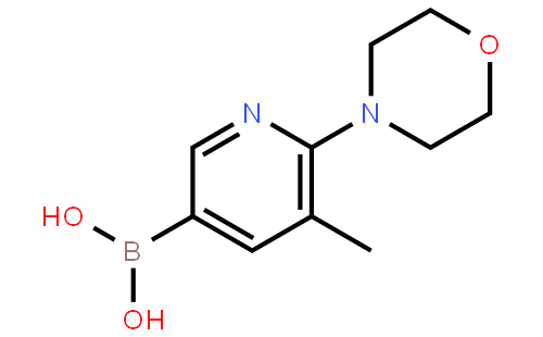 5-Methyl-6-morpholinopyridine-3-boronic acid
