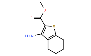 3-氨基-4,5,6,7-四氢苯并[b]噻吩-2-羧酸甲酯