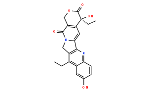 7-乙基-10-羟基喜树碱