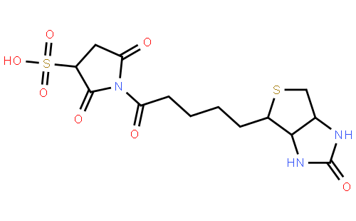 Sulfo-NHS-Biotin