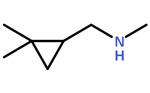 1-(2,2-dimethylcyclopropyl)-N-methylmethanamine