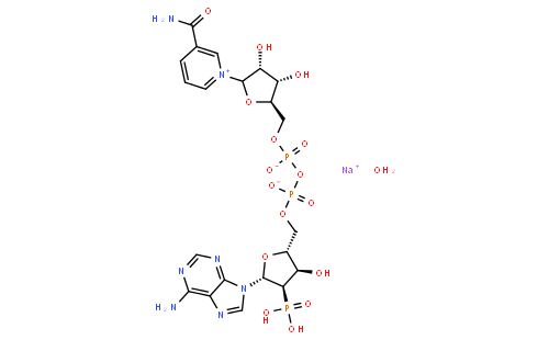 β-烟酰胺腺嘌呤二核苷酸磷酸钠盐