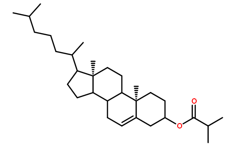 Cholesterolisobutyrate