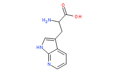 7-氮雜色氨酸一水合物