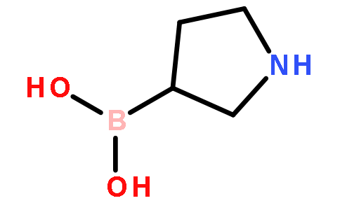 3-(PYRROLIDINO)PHENYLBORONIC ACID