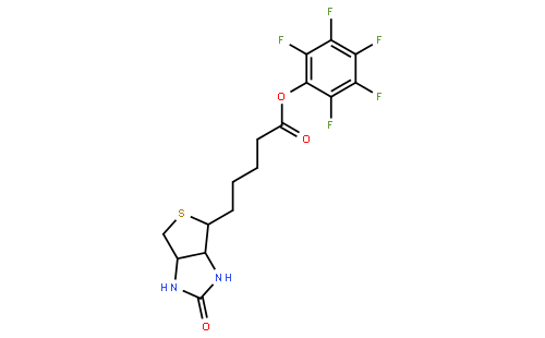 (+)-Biotin-PFP-ester