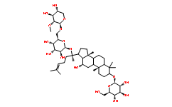 GynosaponinI