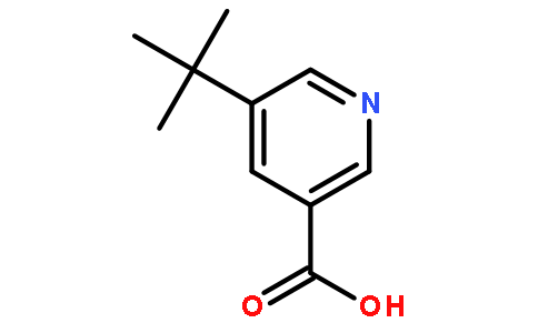 5-tert-butylnicotinic acid